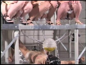 ヤプーズ娘達の超破壊宣言!!戦慄生け贄男 其の三