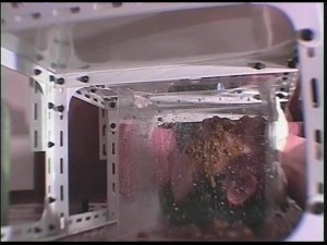 畜獣死すべし非情の11人美女 第三章～汚物浴溺 尿便経血嘔吐編