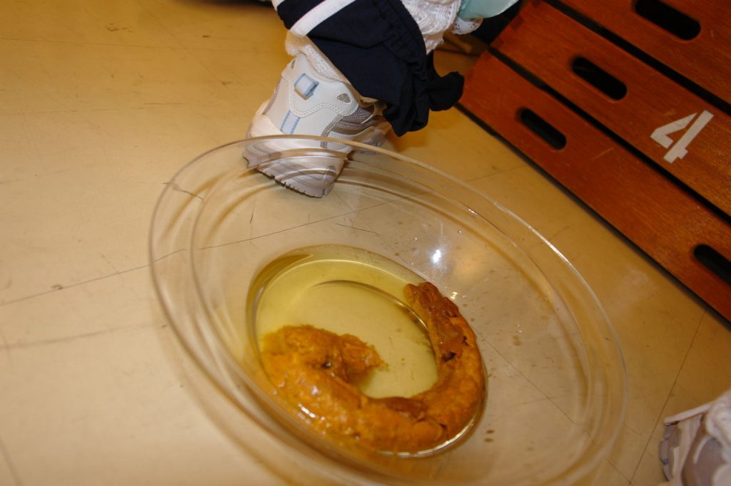 人間卒業なぅ(^O^)/ 残酷聖蘭女学院☆畜男屠殺授業 ギャラリー