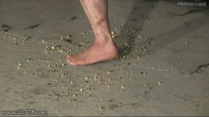 専属マゾ奴隷壮絶調教の旅 沙爛