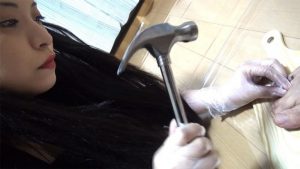 奈々とNaoの家畜人完全監禁日記 Doris -ドリス- まとめ